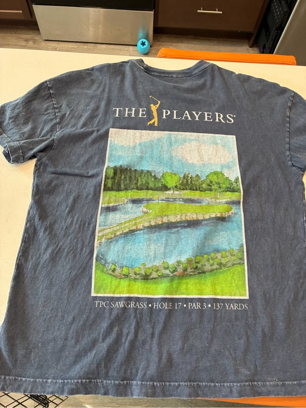 Abercrombie & Fitch Navy Blue 'The Players' Graphic Golf Tee